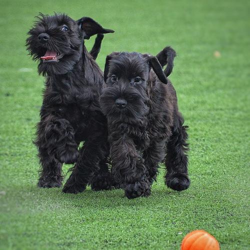 Photo #3658849