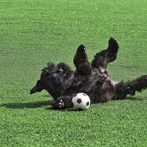 Photo #3658850