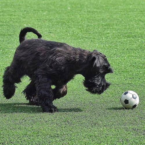 Photo #3658852
