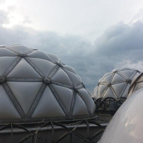 Photo #3659504