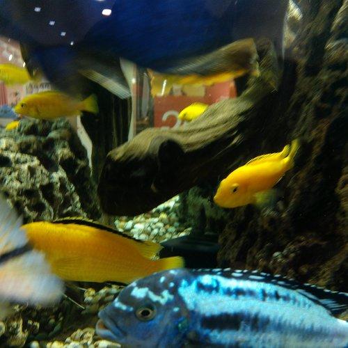 Photo #3660147