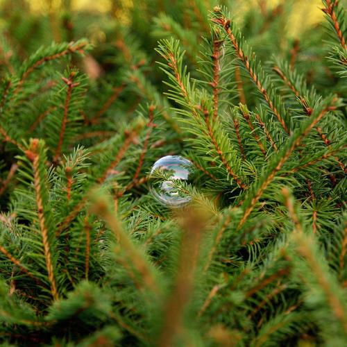 Photo #3660236