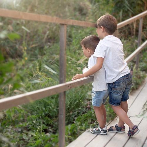 Photo #3660538