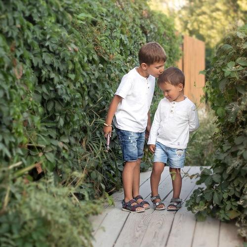 Photo #3660539