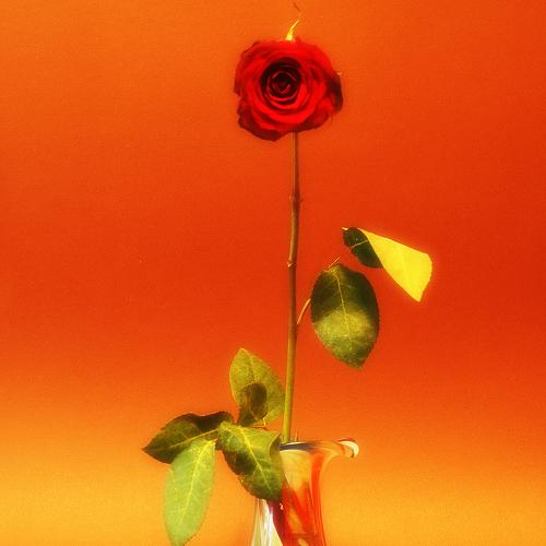 Photo #3660932