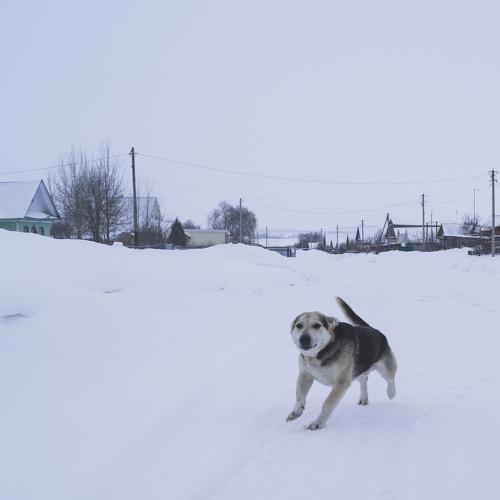 Photo #3661307