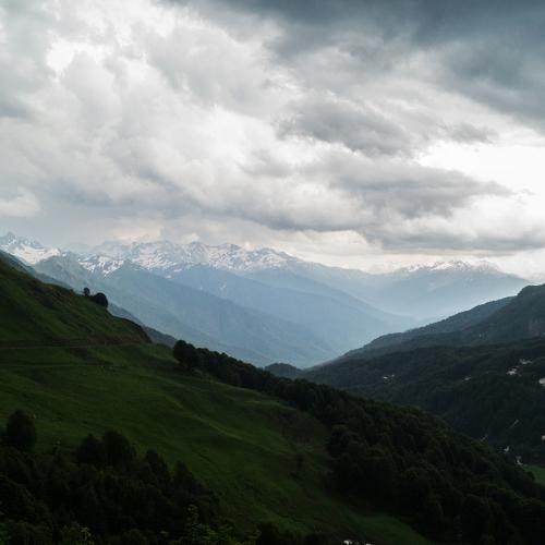 Photo #3661313