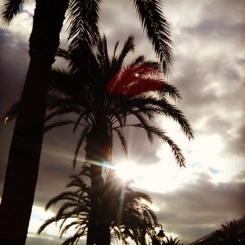 Photo #3662102