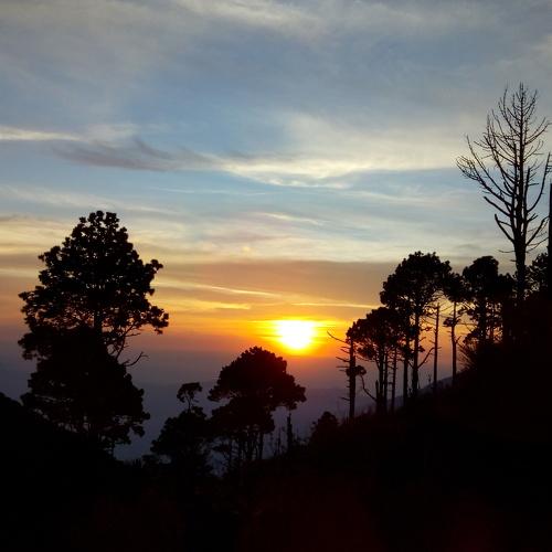 Sunrise