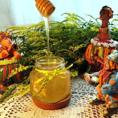 мёд Донниковый