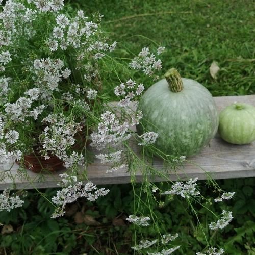 Photo #3663672