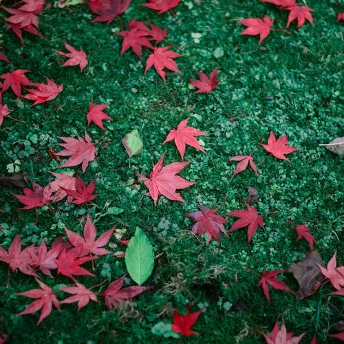 Photo #3663808
