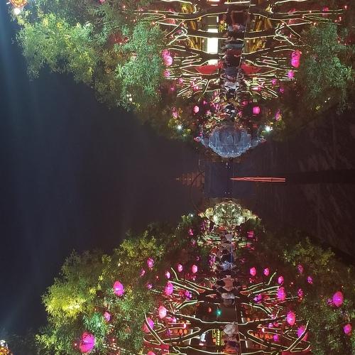 Photo #3664169