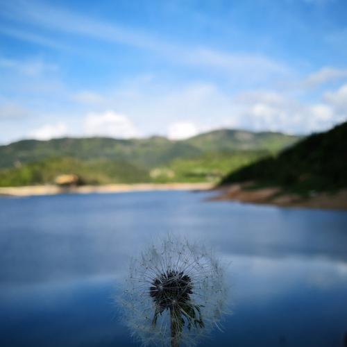 Photo #3664515