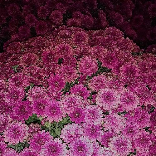 Photo #3664766