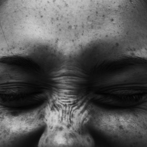 Photo #3664919
