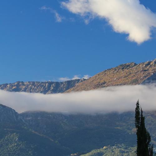 Photo #3665426