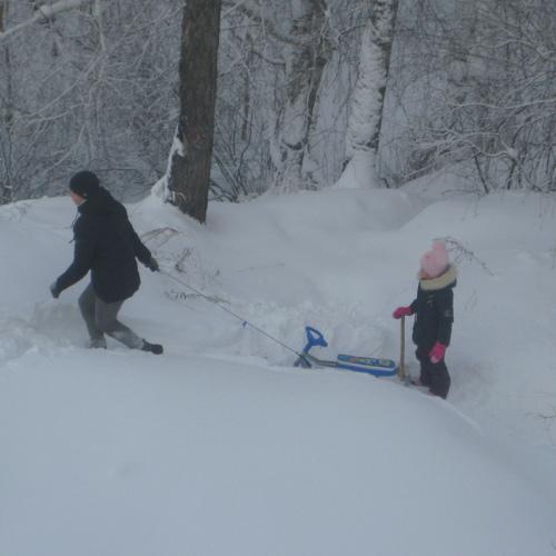 Photo #3665640