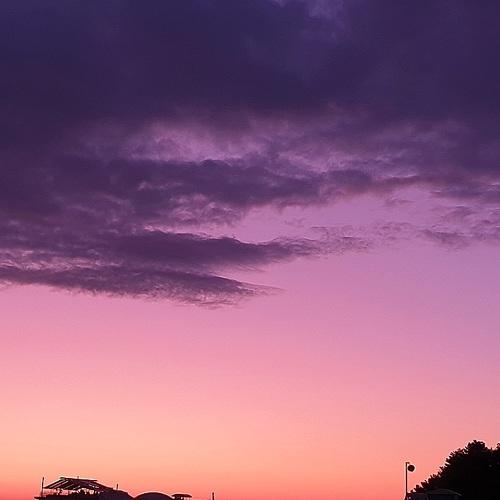 Photo #3665849