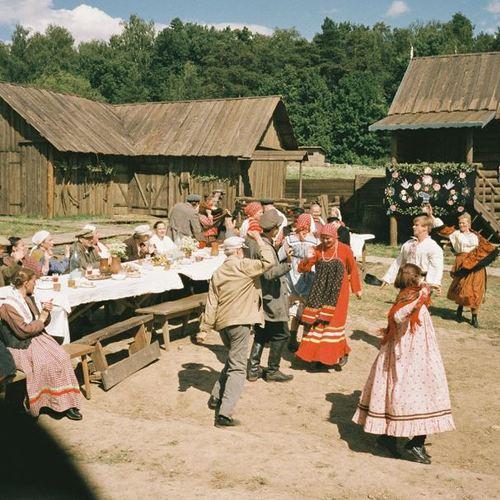 Photo #3665915