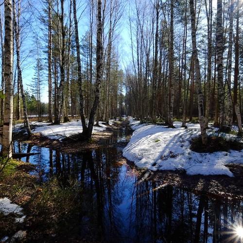 Photo #3666317