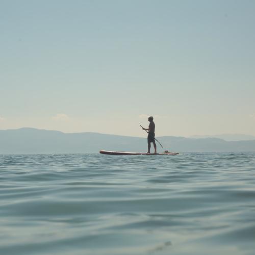 Photo #3666596