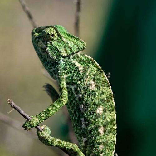 Photo #3667317