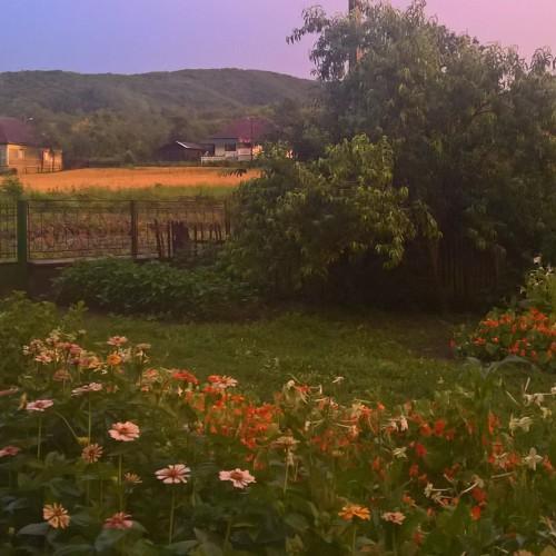 Yellow sunset after storm