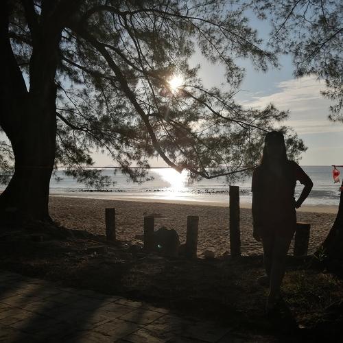 Photo #3668108