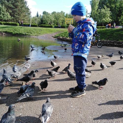 Photo #3668319