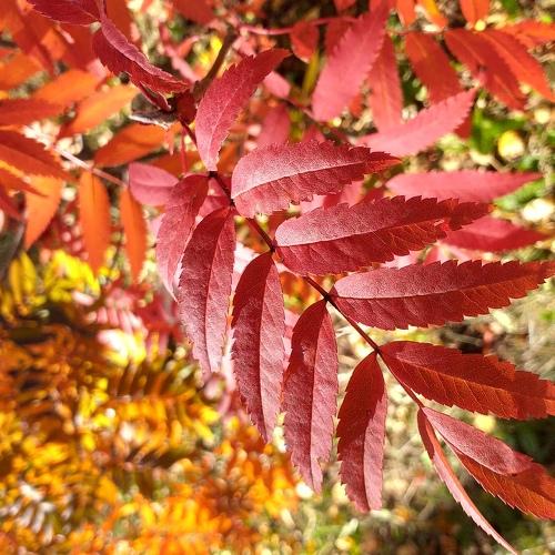 Photo #3668763
