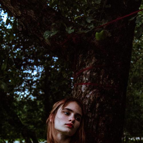 Photo #3669431