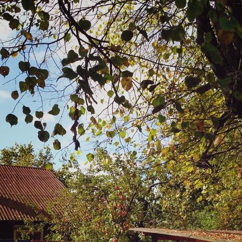 Осень - как прекрасна ты