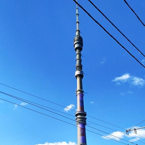 Photo #3669738