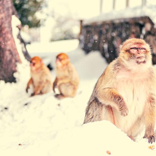 Photo #3669841