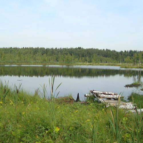 Photo #3670045