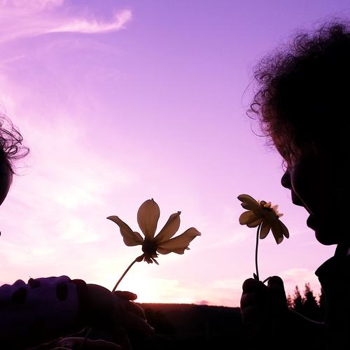 Photo #3670545