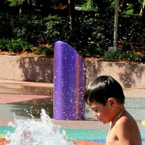 Photo #3671194