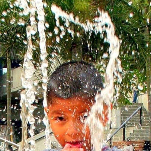 Photo #3671197