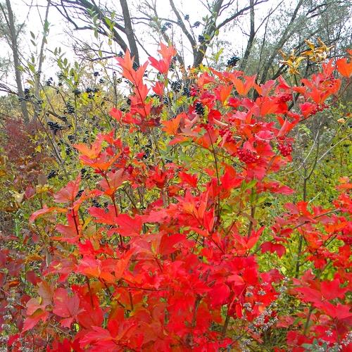 Photo #3671653