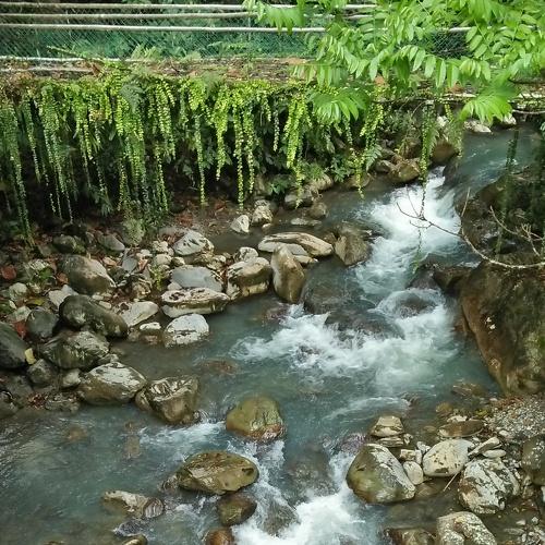 Photo #3671713