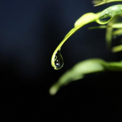 Photo #3671735