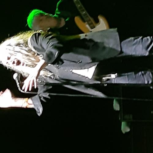 Photo #3671795