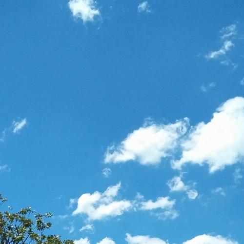 Photo #3671826
