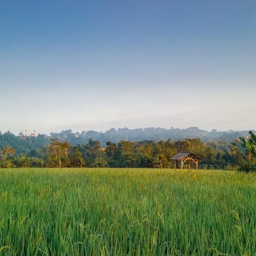 Photo #3671932
