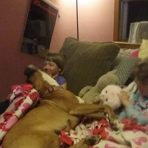 Photo #3671986