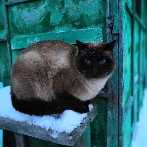 Photo #3672158