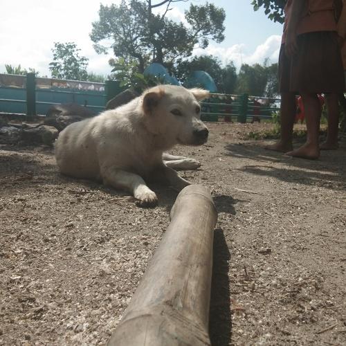 Photo #3672333
