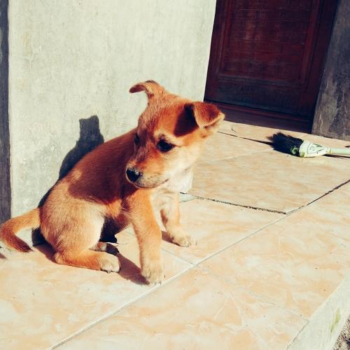 Photo #3672339