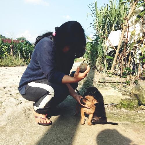 Photo #3672353